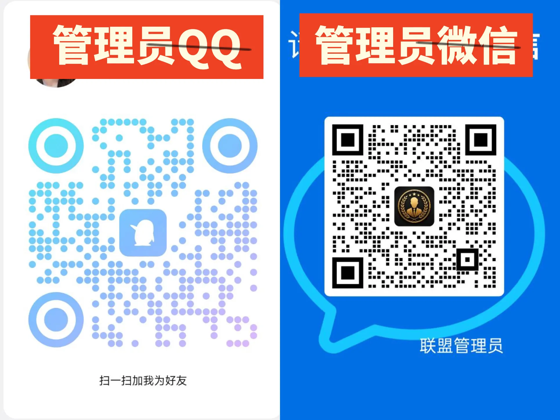 公告图片